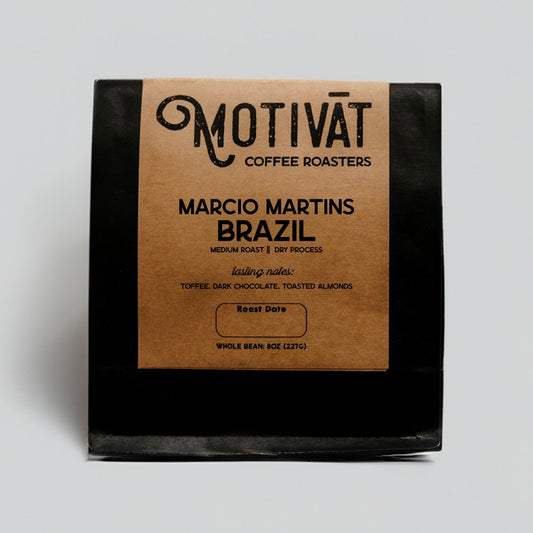 Marcio Martins, Brazil